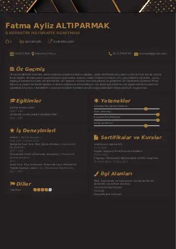 Matematik Öğretmeni Cv Örnekleri cv indir